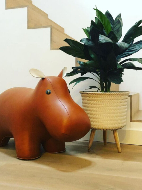 Happy | Gestileerde XL hippo van Züny 10kg