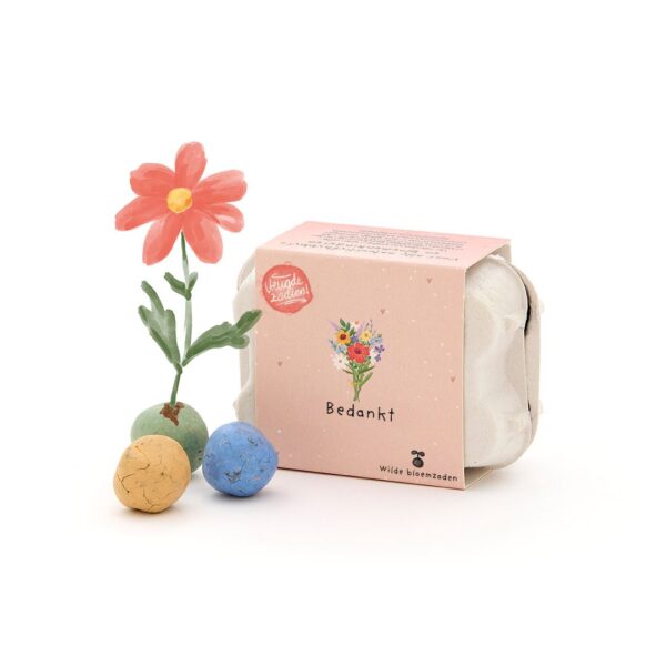 Plantgeluk | Zaadbommetjes in mini-eierdoosje