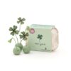 Plantgeluk | Zaadbommetjes in mini-eierdoosje
