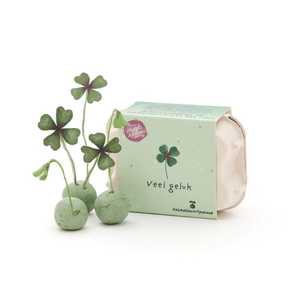 Plantgeluk | Zaadbommetjes in mini-eierdoosje