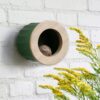 heeej-cactus-vetbol.jpg Heeej Cactus vogelvoederhuisje met vetbol