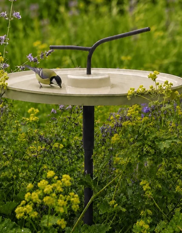 The Wave | Vogelbad parelmoer goud